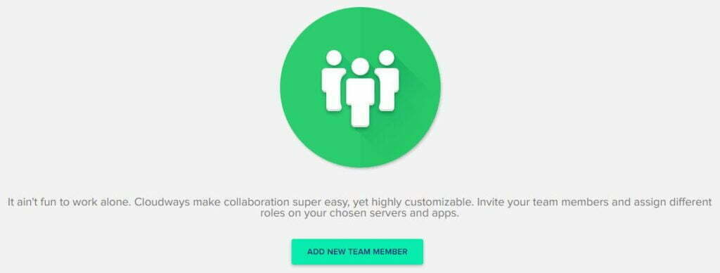 CloudWays review - Team Collaboration