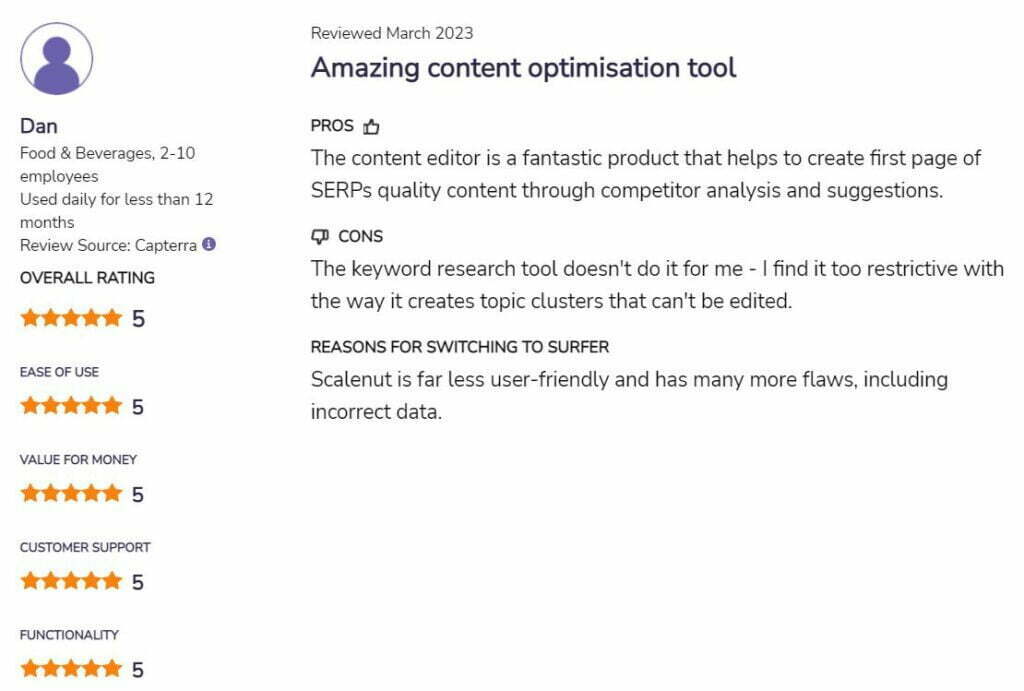 Surfer SEO user review