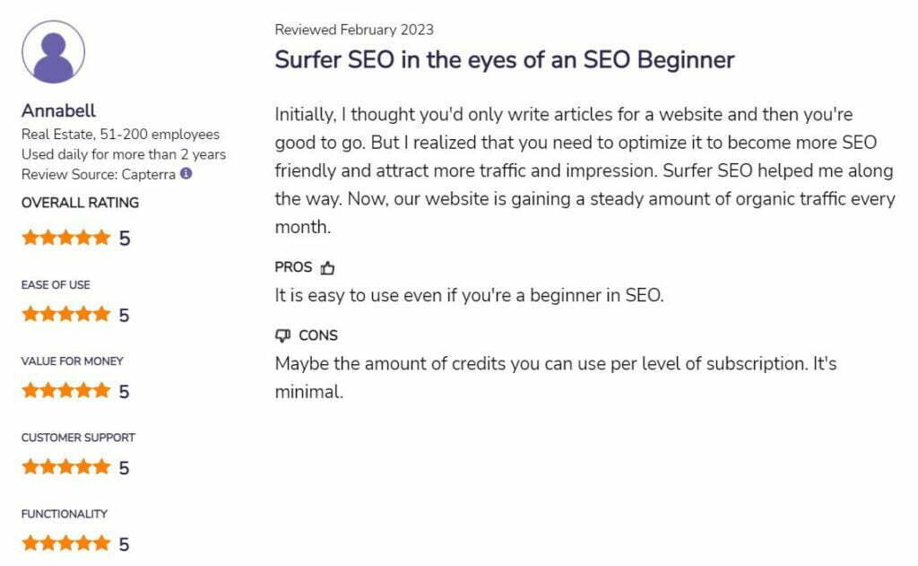 Surfer SEO user review 3